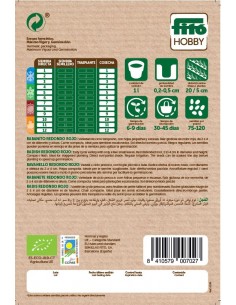 Rabanito Redondo Rojo -... 2