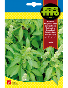 Albahaca Limón (4 g)