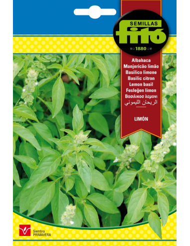 Albahaca Limón (4 g)
