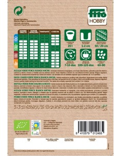 Acelga verde penca blanca Eco 2