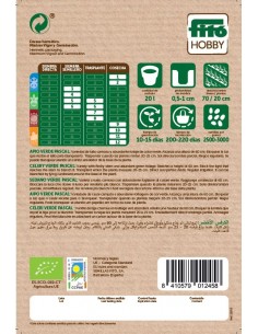 Apio verde Pascal Eco 2