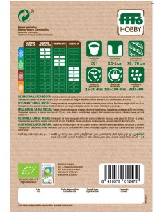 Berenjena Larga negra Eco 2