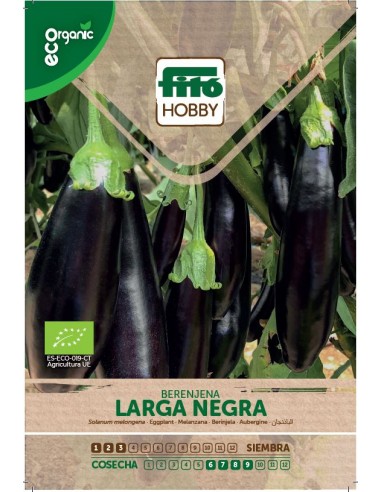 BERENJENA LARGA NEGRA ECO ECO SUPERBOL