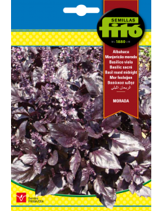 Albahaca Morada (4 g)