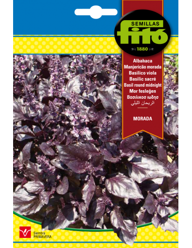 Albahaca Morada (4 g)