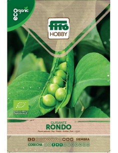 Guisante Rondo Eco