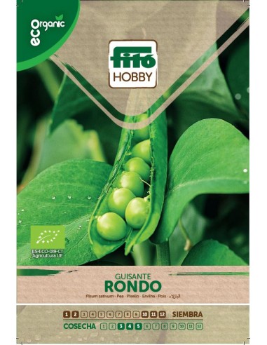 GUISANTE RONDO ECO ECO SUPERBOL