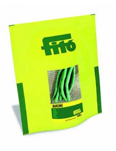 Judia Barcino (100gr)