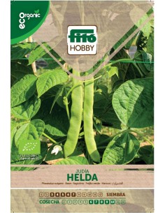 Judia Helda Eco