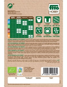 LECHUGA MARAVILLA DE VERANO... 2