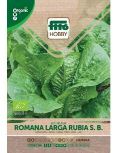 Lechuga Romana larga Rubia Eco