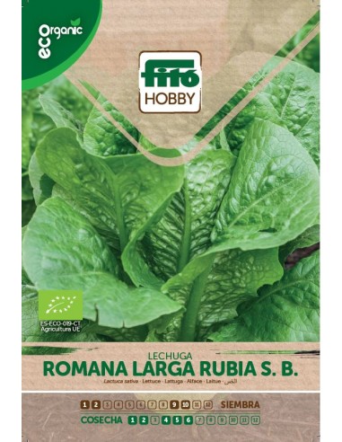 Lechuga Romana larga Rubia Eco