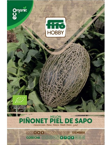 MELON PIÑONET PIEL DE SAPO ECO ECOLOGICO