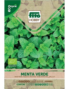 Menta Verde