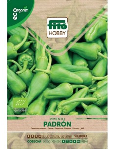 Pepper Padron Eco