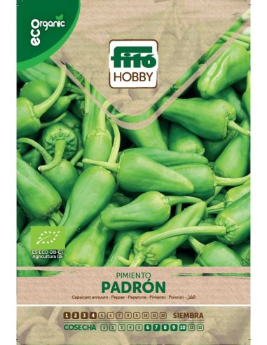 Pepper Padron Eco