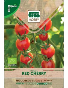 Tomato Cherry Eco