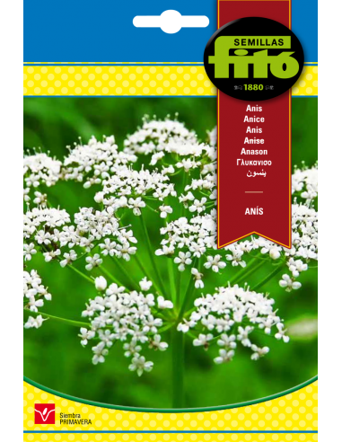 Anís (1 g)