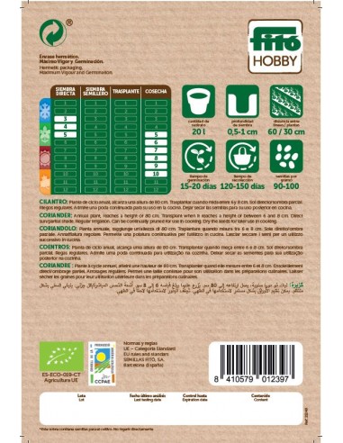 CILANTRO ECO ECO SUPERBOL