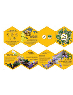 FOLLETO BEE AMIGO UNIDADES