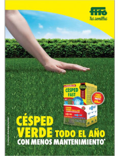 Diptico Cesped Verde todo...