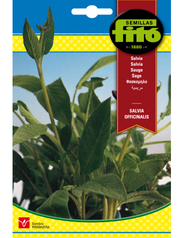 Salvia Officinalis (2 g)