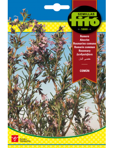 Romero Común (0,2 g)