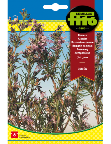 Romero Común (0,2 g)