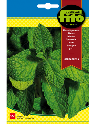 Hierbabuena (0,2 g)