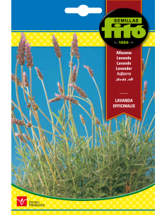 Lavanda Officinalis (1 g)