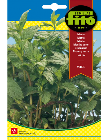 Menta Verde (0,2 g)