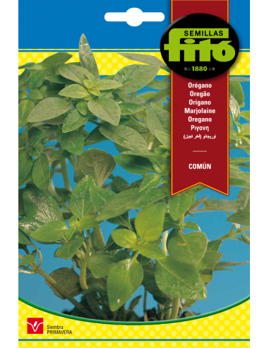 Orégano Común (0,52 g)