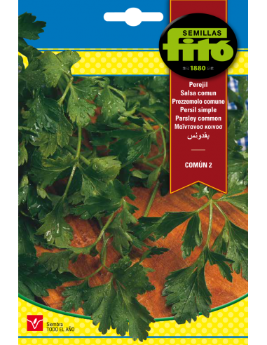 Perejil Común 2 (20 g)