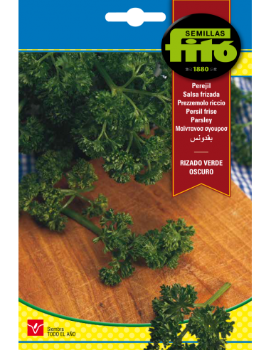 Perejil Doble Rizado (10 g)