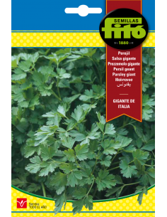 Perejil Gigante de Italia...