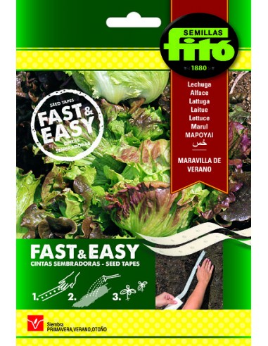 Lechuga Maravilla de Verano (Cintas...