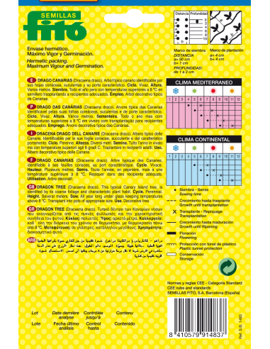 Drago de Canarias (8 semillas)