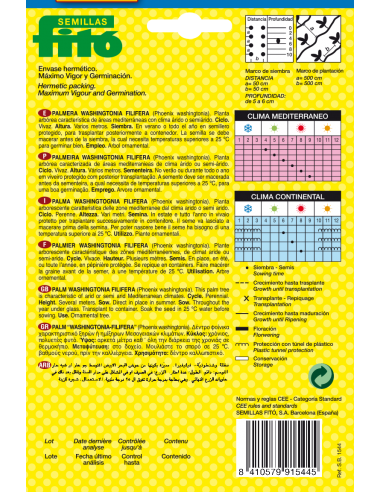 Palmera Whashingtonia Filifera (10...