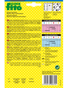 Alhelí Cuarenteno Blanco... 2