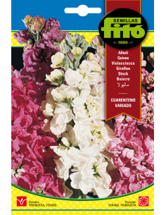 Alhelí Cuarenteno Variado...