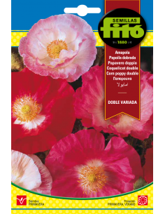 Amapola Doble Variada (2 g)