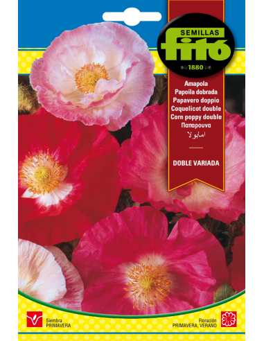 Amapola Doble Variada (2 g)