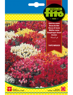Antirrino Enano Tapiz...