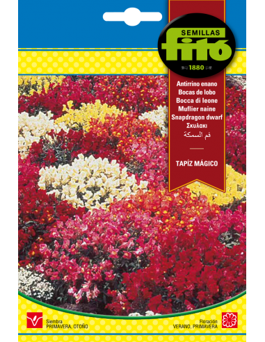 Antirrino Enano Tapiz Mágico Variado...