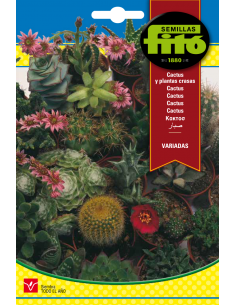 Cactus y Plantas Crasas...