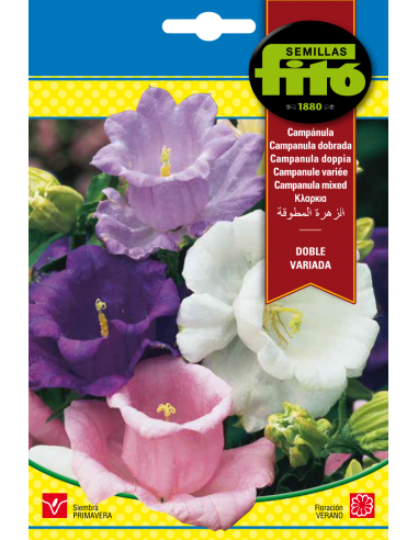 Campánula Doble Variada (1 g)