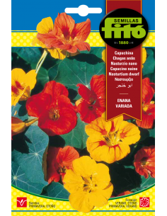 Capuchina Enana Variada (10 g)