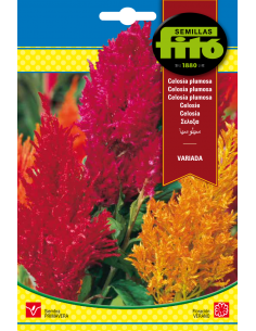 Celosía Plumosa Variada (2 g)