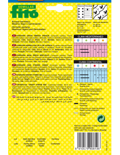 Cineraria Enana Híbrida... 2