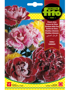 Clavel Chino Doble Variado...